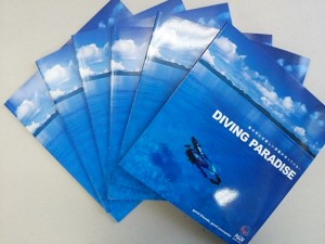 ダイブテリーズ