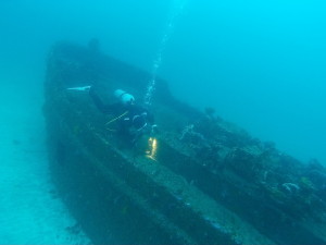 ダイブテリーズ