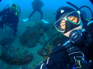 ダイブテリーズ